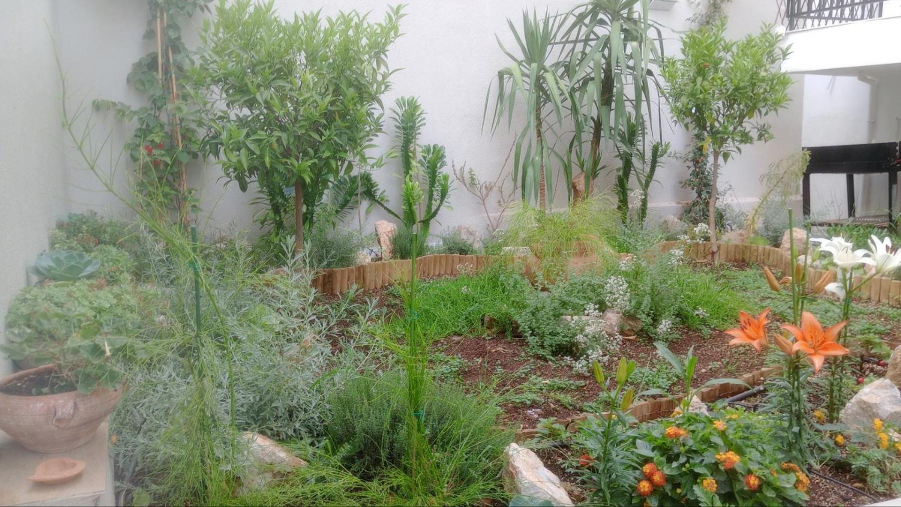 אתונה Annag Apart And Zitahouse מראה חיצוני תמונה